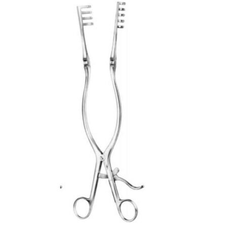 Alis 32cm/12 1/2 inch Adson 4: 5 Teeth Blunt