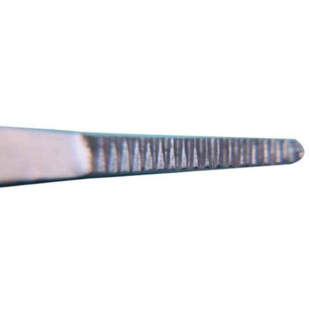 KDB 13 inch Stainless Steel Tooth Dissecting Forceps