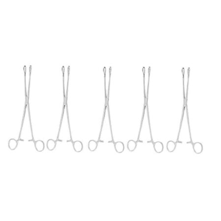 Forgesy 6 inch Medium Hole Sponge Holding Forceps