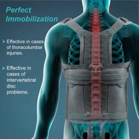 Tynor Short Type Taylor Brace