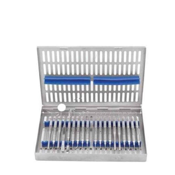 GDC 19 Pcs Conservative Instruments Ring Handle Cassette Instruments Kit