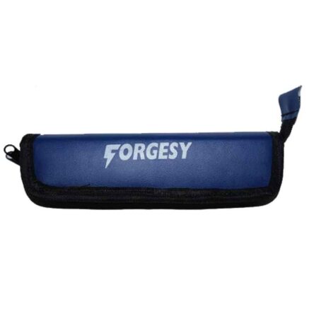 Forgesy 5 Pcs Stainless Steel Dental Hygiene Kit