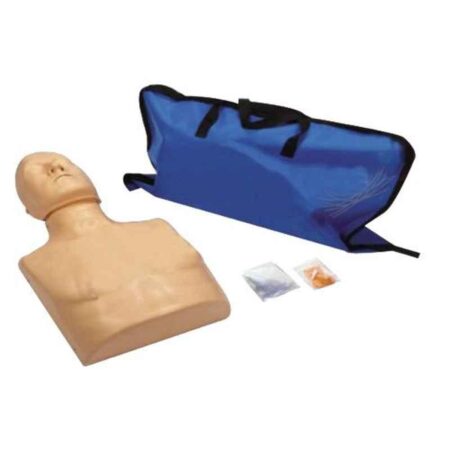 Wellton Healthcare CPR Training (Torso) Medical Model Manikin