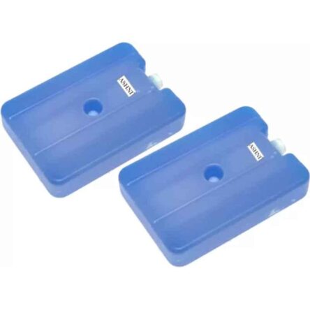 Ashin Plastic Blue Ice Blocks (Pack of 2)