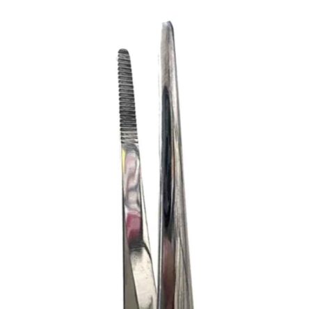 Jainco 8 inch Plain Tooth Forceps