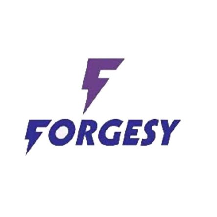 Forgesy 6.5 inch Silver Stainless Steel Mayo Curved Surgical Scissor
