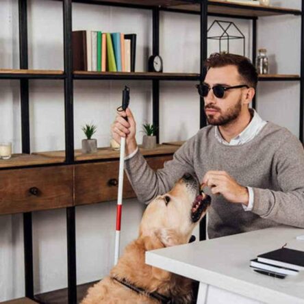 Paxmax 48.82 inch Red Aluminium Alloy Folding Reflective Walking Stick for Vision Impaired & Blind People