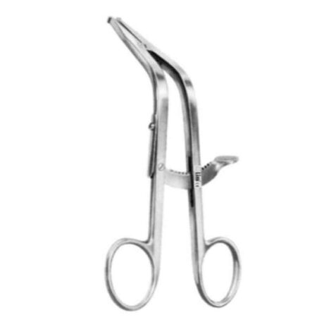 Alis 16cm/6 1/2 inch Cloward