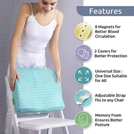 HealthSense Soft-Spot BC21 Memory Foam Ice Blue Orthopedic Backrest Cushion for Study