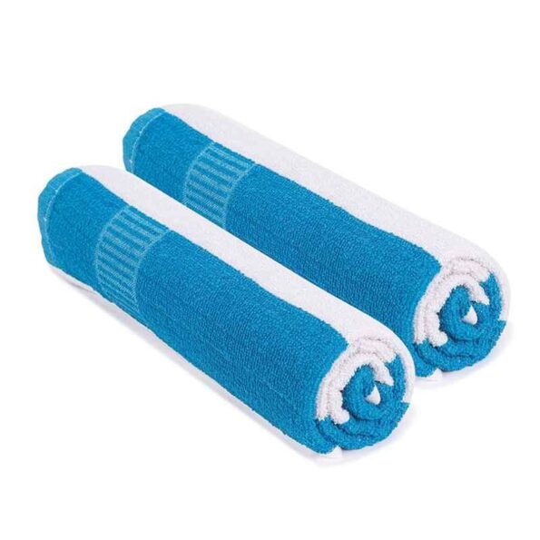 Rise N Shine 70x150cm 400GSM Cotton Blue Strip Bath Towel for Men & Women (Pack of 2)