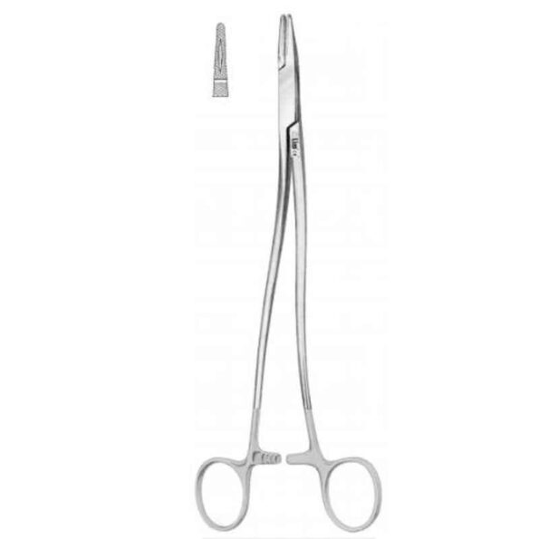 Alis 15cm/ 6 inch Bozemann