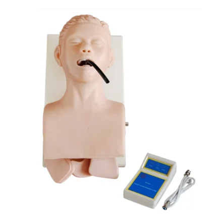 Divine Medicare – Human Trachea Intubation Model With Monitor