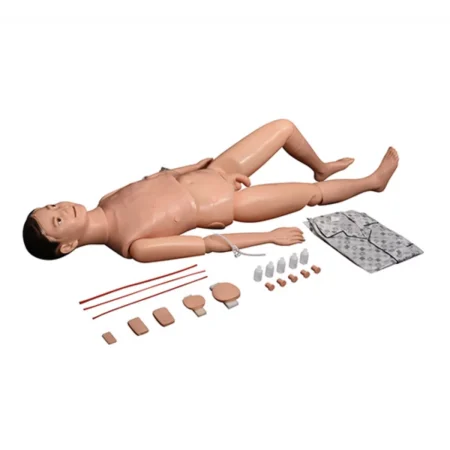 Divine Medicare - Multi-functional Patient Care Manikin Male