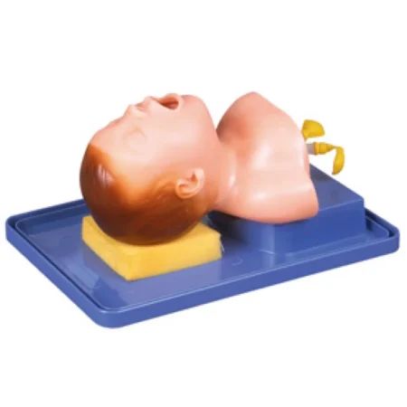 Divine Medicare - Neonate Intubation Training Model