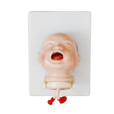 Divine Medicare Baby Intubation Model