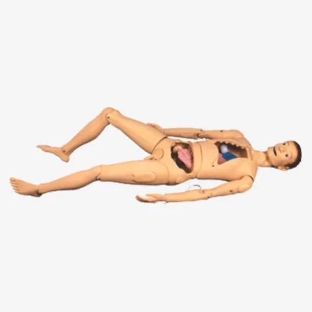 Divine Medicare – Basic Nursing Manikin