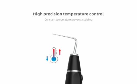 Woodpecker Obturation Pen System