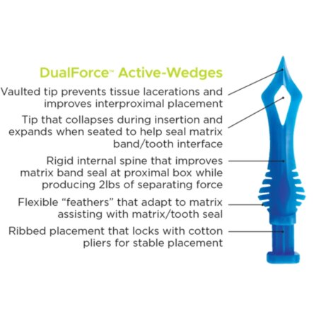 DualForce Active-Wedges Size-1 (209001) (Pack Of 100)