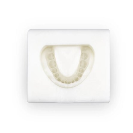 iDENTical Complete Dentulous Cast Moulds -White M8019