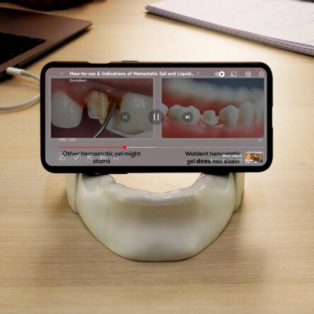 Mandible Phone Holder