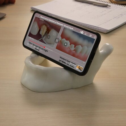 Mandible Phone Holder