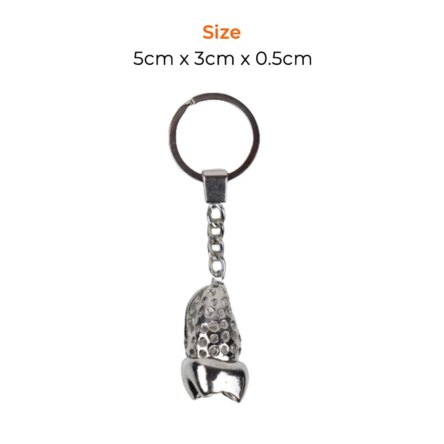 iDENTical Tooth Shape Silver Keychain (YK-068S)