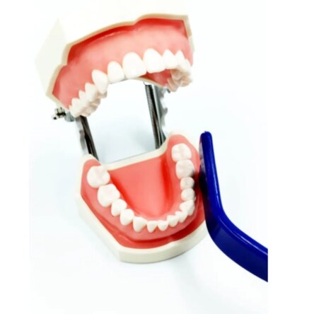 Julldent All In One Flexible Mouth-Tongue-Cheek Retractor 2.0