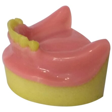 Dental Model Partially Edentulous Mandible MD-123