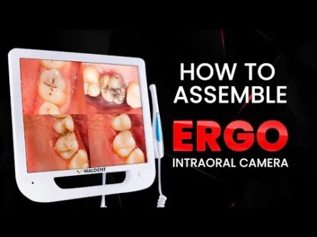 Waldent Intra Oral Camera with Screen – Ergo (10 MP)