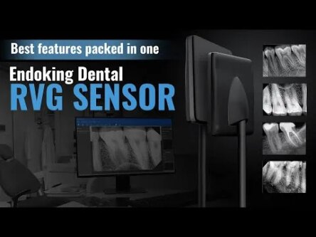 Endoking Dental RVG Sensor Standard Size 2 (Adult)