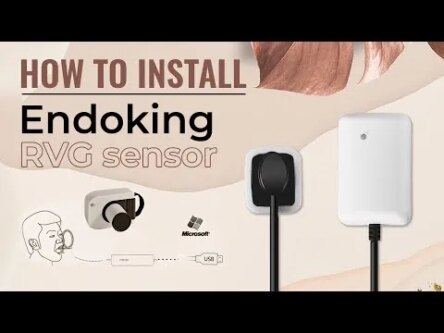 Endoking Dental RVG Sensor Standard Size 2 (Adult)