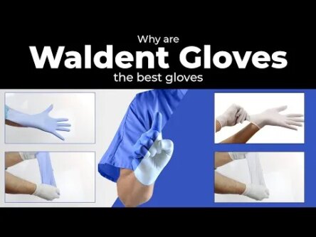 Waldent Nitrile Medical Examination Gloves – Large