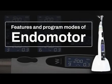 Waldent EndoPro LED All-In-One Endomotor