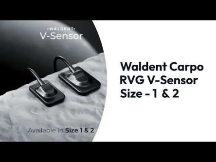 Waldent Carpo RVG V-Sensor Size – 2