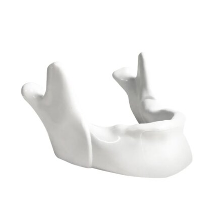 Mandible Phone Holder