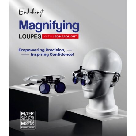 Endoking Dental Loupes 3.5x With Plastic Frame (Led HeadLight Free) -Silver