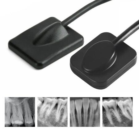 Endoking Dental RVG Sensor Standard Size 2 (Adult)