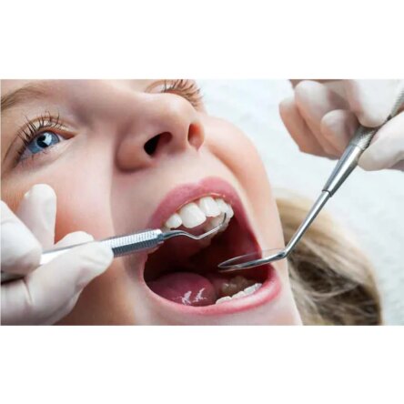 GDC Pmt Set Of 3 (Pmtwc3)