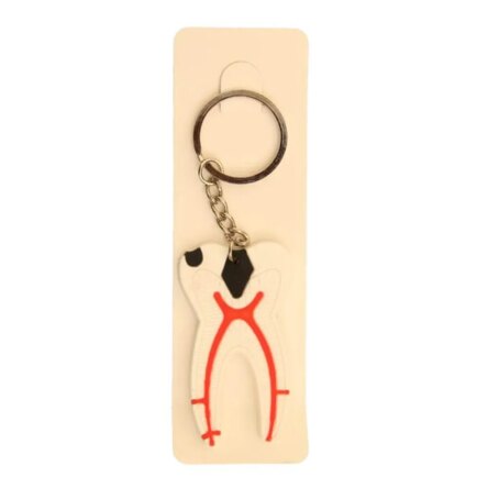 iDENTical Tooth Anatomy Key Chain (3006)