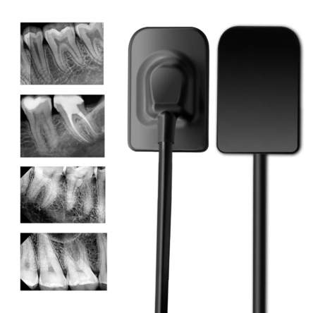 Waldent Carpo RVG V-Sensor Size – 2