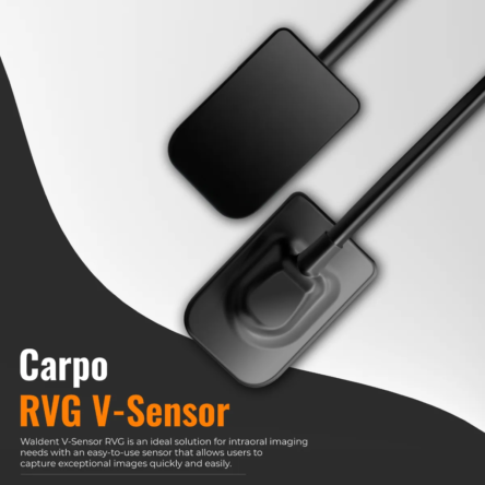 Waldent Carpo RVG V-Sensor Size – 2
