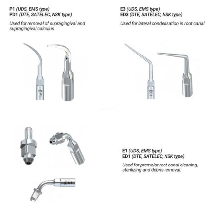 Woodpecker Scaler Tips GD1