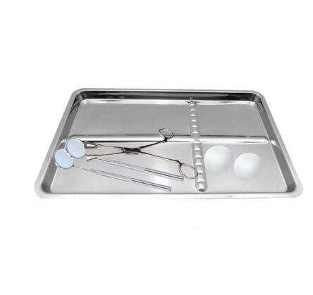 Life Steriware Stainless Steel Instrument Tray (24cm × 15cm)