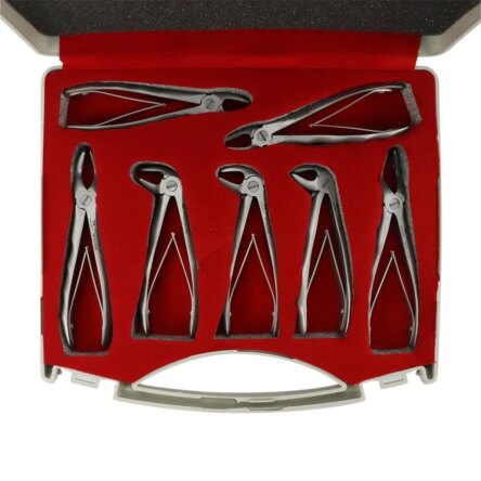 Waldent Pedodontic Extraction Forceps Kit – Premium (set of 7) K1/9