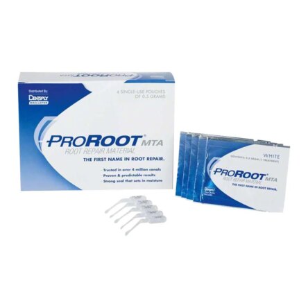 Dentsply Proroot MTA 0.5 Gm