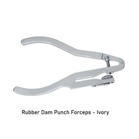 API Rubber Dam Punch Forceps – Ainsworth