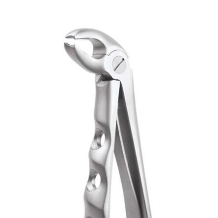 GDC Extraction Forceps Lower Molars Pedo Premium (FX2CP)