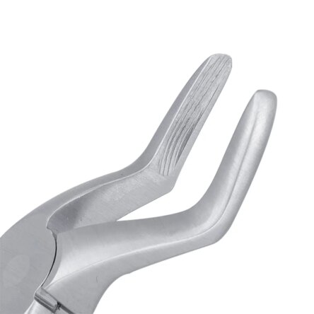 GDC Extraction Forceps Upper Roots Pedo Standard (FX7CS)