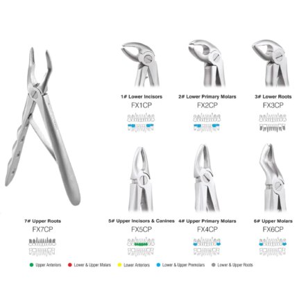 GDC Extraction Forceps Pedo Set Of 7 In Pouch Premium (EFPPP7)