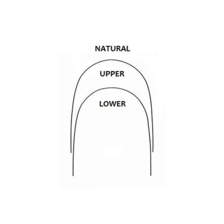 Prime Ortho NiTi Archwires Natural / Pro Form Lower Rectangular 0.021″x 0.025″